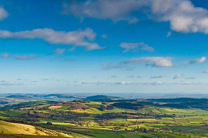 Taste the Atherton Tablelands Food & Wine Tour from Port Douglas - Mt Uncle Distillery and tropical spirits