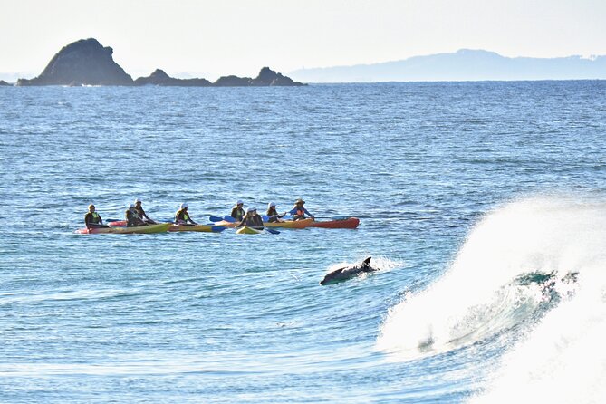The Byron Bay Sea Kayak Tour - Cape Byron Lighthouse from the water