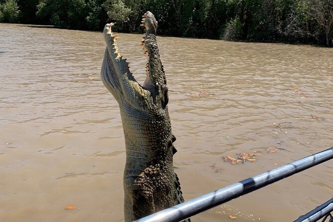 The Croc Bus to the Famous Jumping Crocodile Cruise - Key points at a glance