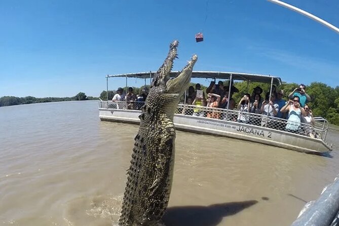The Croc Bus to the Famous Jumping Crocodile Cruise - Why this Darwin half-day tour works