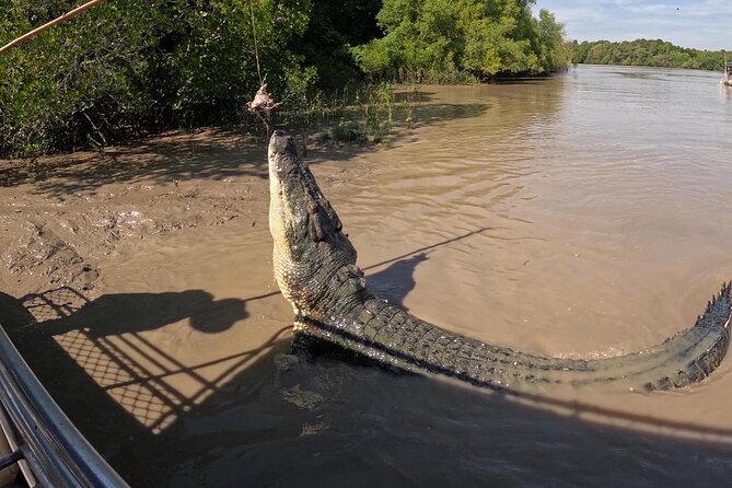 The Croc Bus to the Famous Jumping Crocodile Cruise - Who should book it?