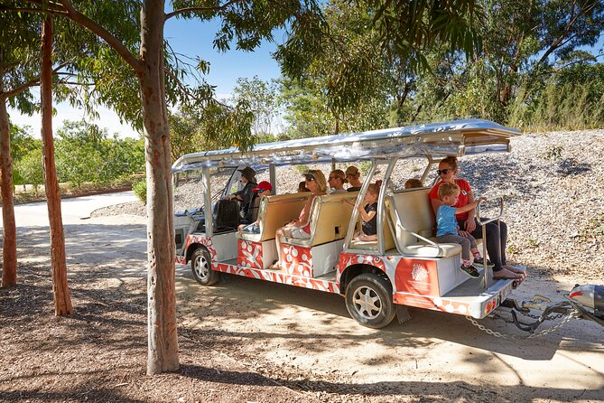 The Explorer - Cranbourne Gardens - Key things to know before you ride