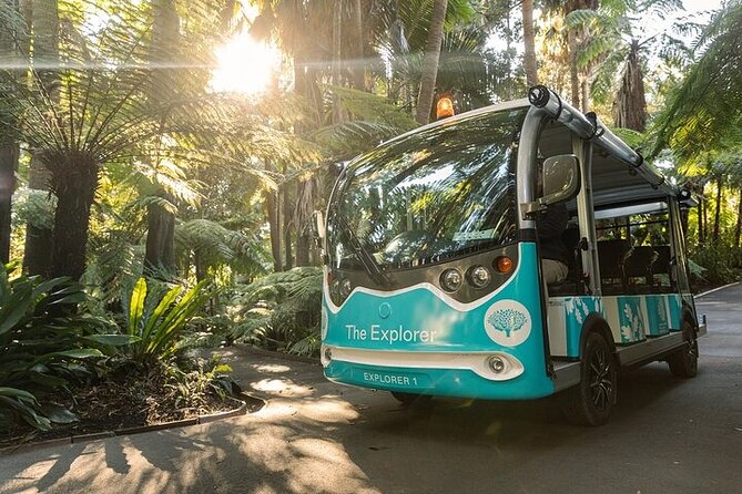 The Explorer - Melbourne Gardens - Riding past lawns, trees, and living collections