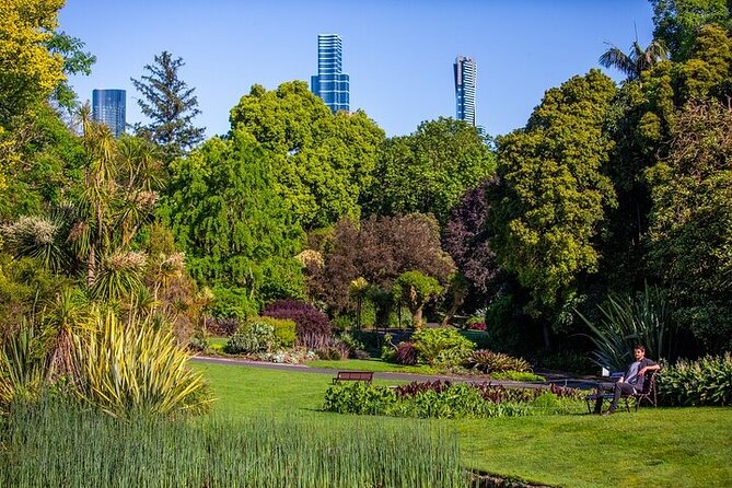 The Explorer - Melbourne Gardens - Meeting the minibus at Birdwood Avenue
