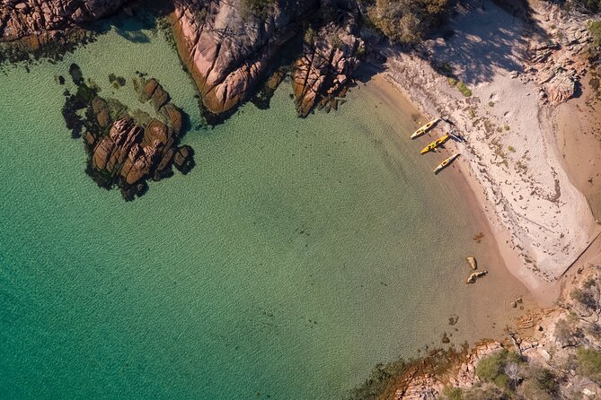 The Freycinet Paddle - Wildlife from a low seat on the water