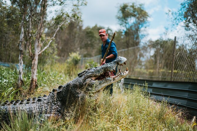 Top End Safari Camp Day Tour - The airboat ride across the waterways