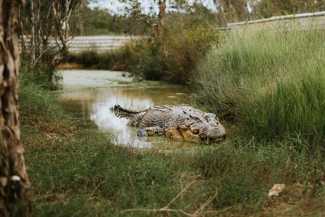 Top End Safari Camp Day Tour - Is $426.76 good value?