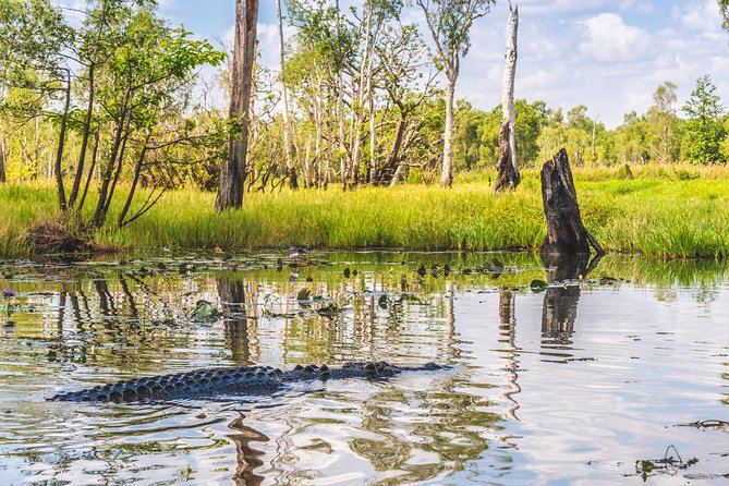 Top End Safari Camp Overnight Tour - Camp dinner, a houseboat cheeseboard, and breakfast