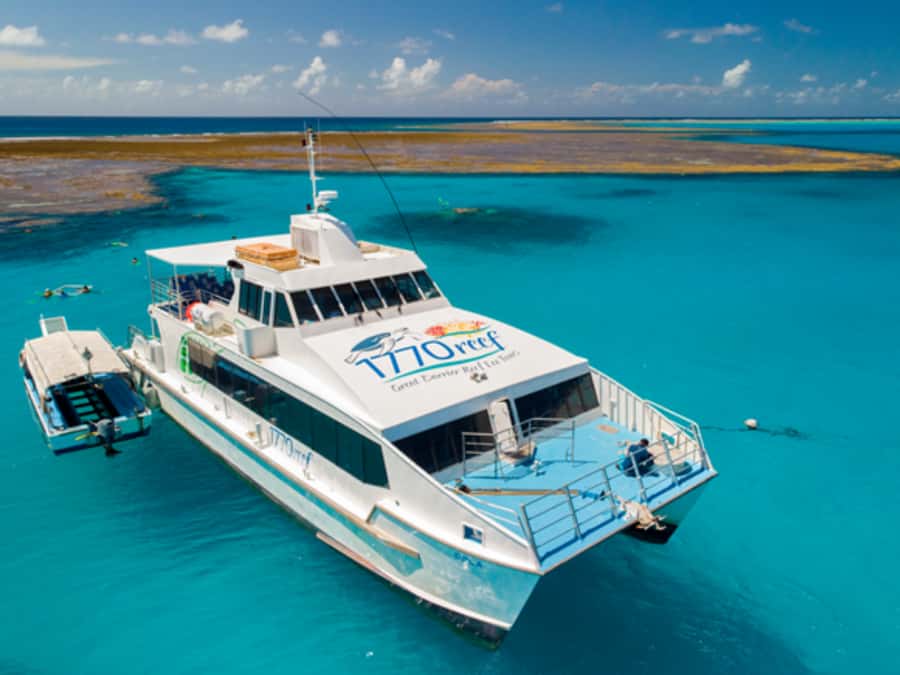 Town of 1770: Lady Musgrave Island Snorkelling Day Cruise - Key points to know before booking