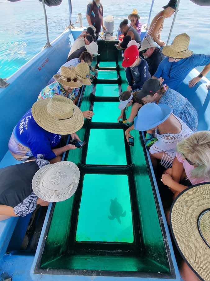 Town of 1770: Lady Musgrave Island Snorkelling Day Cruise - Is $198 good value?