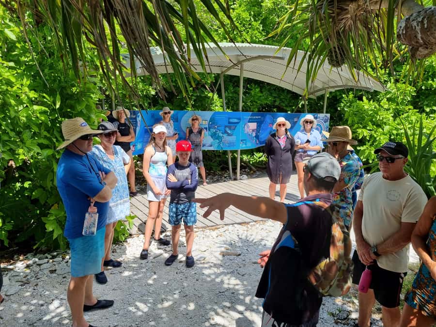Town of 1770: Lady Musgrave Island Snorkelling Day Cruise - Who will enjoy this day most?