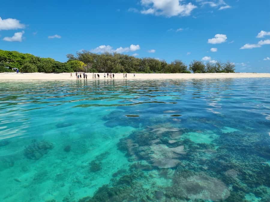 Town of 1770: Lady Musgrave Island Snorkelling Day Cruise - The calm waters of Lady Musgrave Lagoon