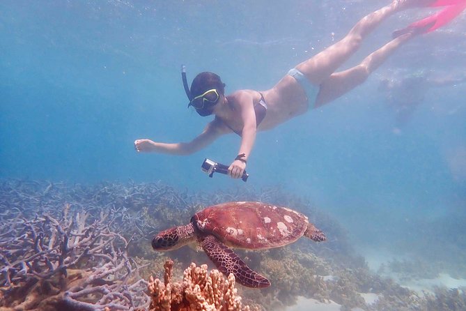 Turtle Tour - Ningaloo Reef Half Day Sea Kayak and Snorkel Tour - What the $107.59 price really covers
