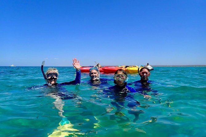 Turtle Tour - Ningaloo Reef Half Day Sea Kayak and Snorkel Tour - From Exmouth accommodation to Bundegi Sanctuary Zone