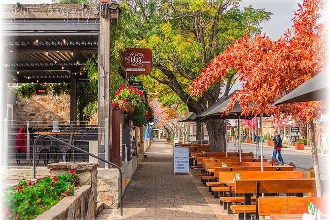 Ultimate Adelaide Walking Tour - Adelaide’s cultural zone and social reform