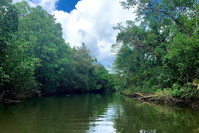 Ultimate Daintree Rainforest Wildlife Experience Cruise - How long does the cruise really last?