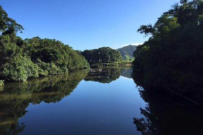Ultimate Daintree Rainforest Wildlife Experience Cruise - Setting out on the one-hour river route