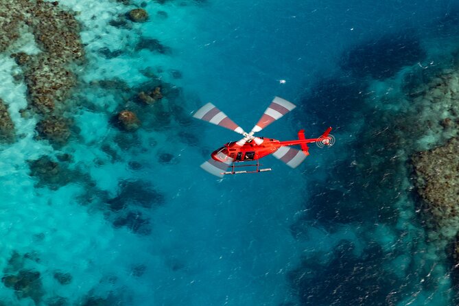 Ultimate Great Barrier Reef and Rainforest 45-minute Helicopter Tour - Key points to know before you book
