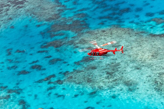 Ultimate Great Barrier Reef and Rainforest 45-minute Helicopter Tour - Why this Cairns helicopter tour works so well