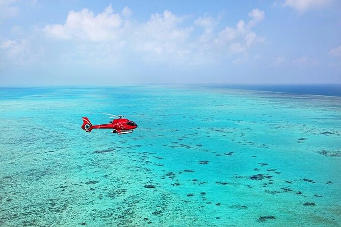 Ultimate Great Barrier Reef and Rainforest 45-minute Helicopter Tour - Green Island adds an island-scale view