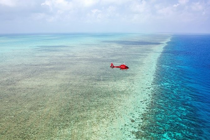 Ultimate Great Barrier Reef and Rainforest 45-minute Helicopter Tour - Is $451.29 a fair price?