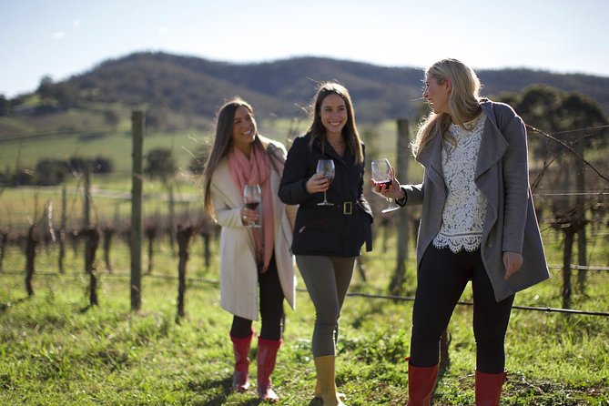 Ultimate Yarra Valley Chandon, Soumah & De Bortoli Cheese & Wine - Chandon brings the sparkling wine