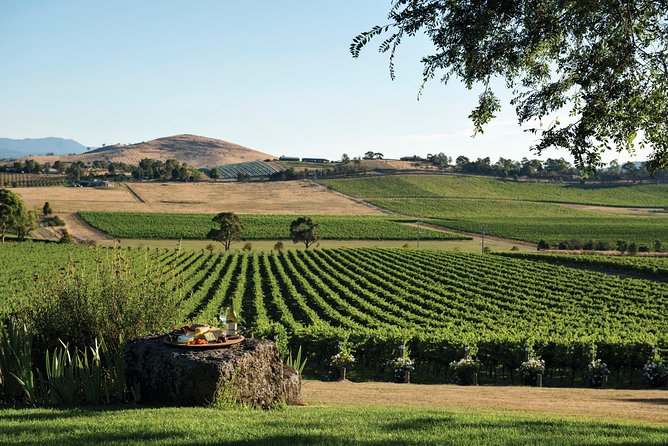 Ultimate Yarra Valley Chandon, Soumah & De Bortoli Cheese & Wine - Who will enjoy this tour most