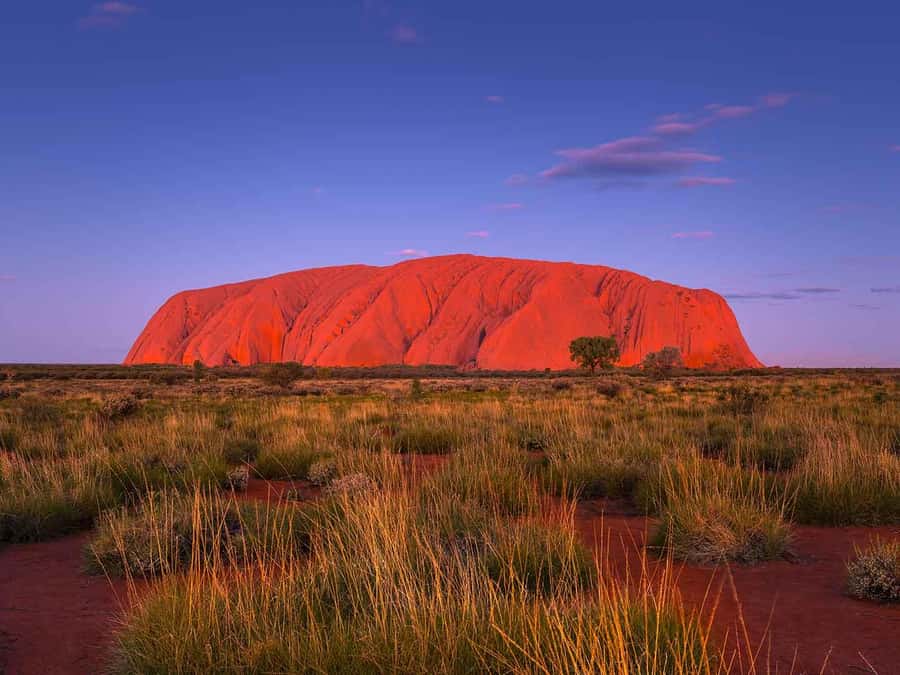 Uluru: 4-Day Rock to Rock Adventure Tour - Should you book the Rock to Rock tour?