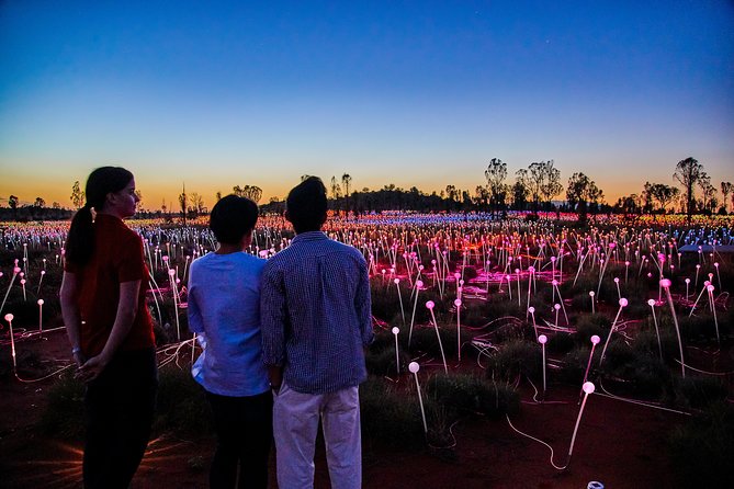 Uluru (Ayers Rock) Field of Light Sunrise Tour - Key points to know before you book
