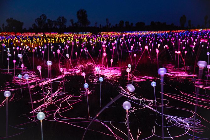 Uluru (Ayers Rock) Field of Light Sunrise Tour - Why the sunrise version is different