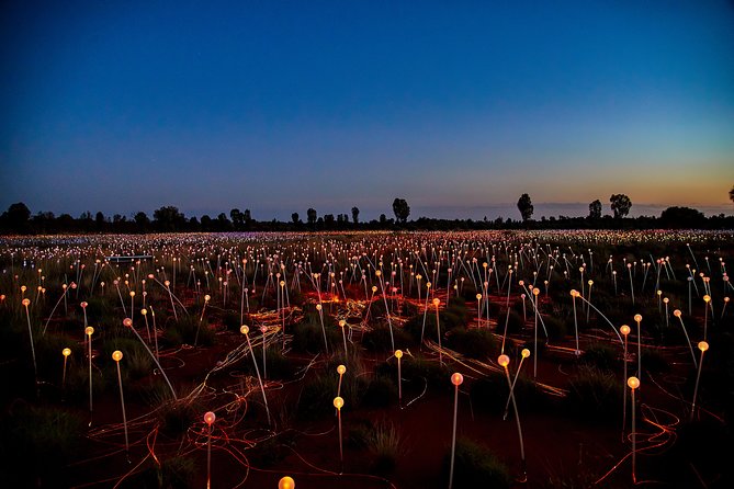 Uluru (Ayers Rock) Field of Light Sunrise Tour - The dune-top sunrise view