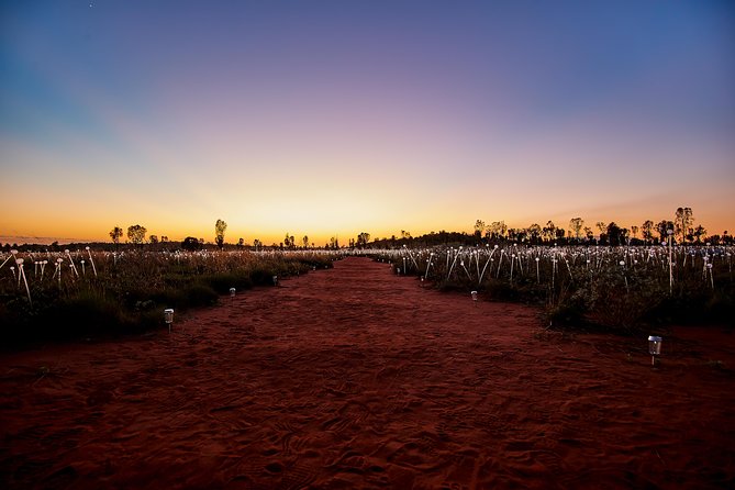 Uluru (Ayers Rock) Field of Light Sunrise Tour - Guides, commentary, and service