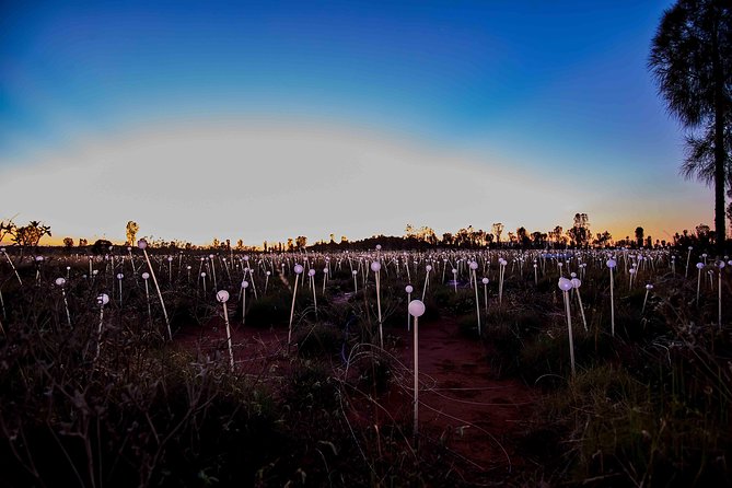 Uluru (Ayers Rock) Field of Light Sunrise Tour - What to pack for the early start
