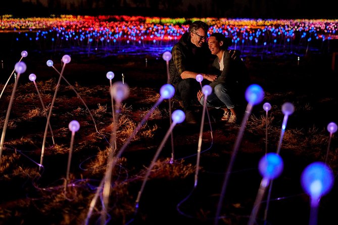 Uluru (Ayers Rock) Field of Light Sunrise Tour - Walking through 50,000 lights