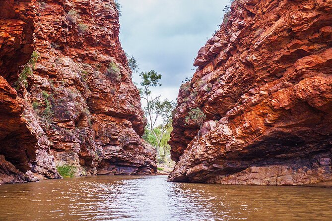 Uluru (Ayers Rock) to Alice Springs One-Way Shuttle - The possible coach change at Kings Canyon Junction