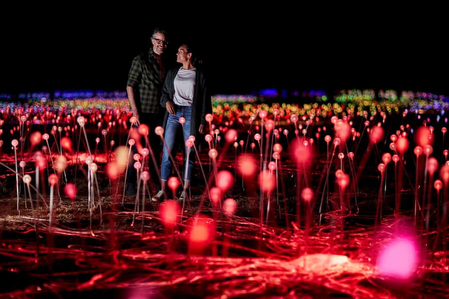 Uluru: Field of Light Sunrise Tour with Hot Drinks - Key points to know before booking