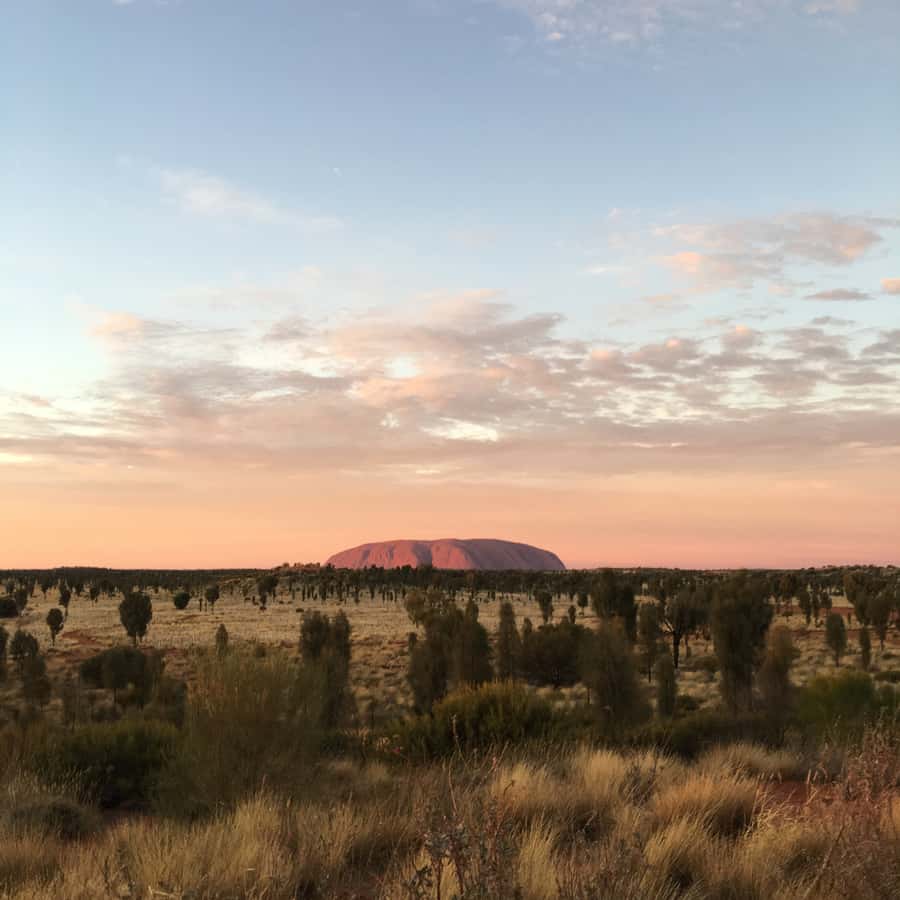 Uluru: Field of Light Sunrise Tour with Hot Drinks - Walking through 50,000 glowing spheres