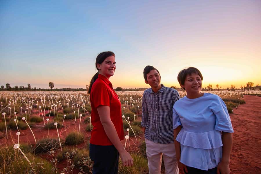 Uluru: Field of Light Sunrise Tour with Hot Drinks - The private dune and the first light
