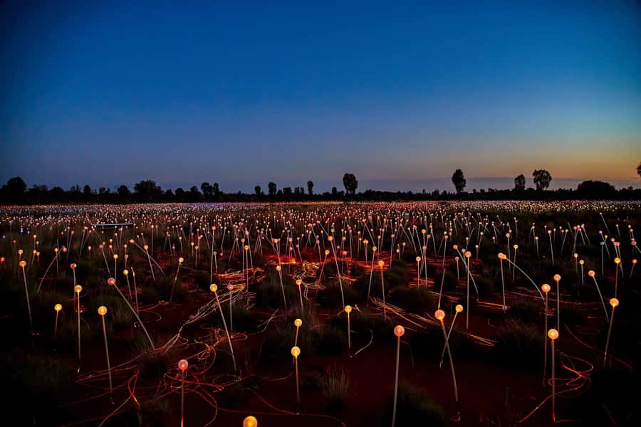 Uluru: Field of Light Sunrise Tour with Hot Drinks - The guides make a real difference