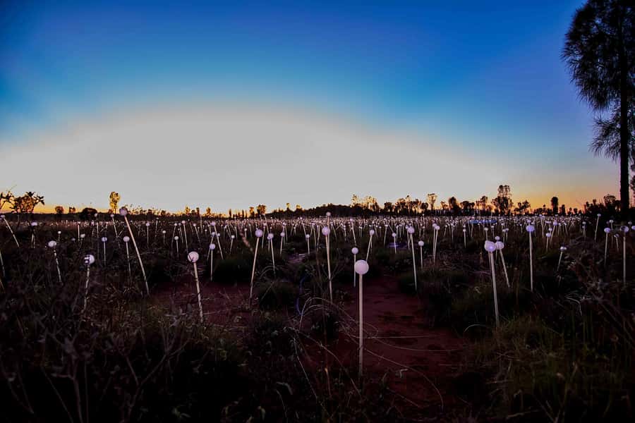Uluru: Field of Light Sunrise Tour with Hot Drinks - Transport, duration, and pace