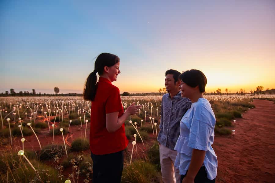 Uluru: Field of Light Sunrise Tour with Hot Drinks - The early pickup from Yulara