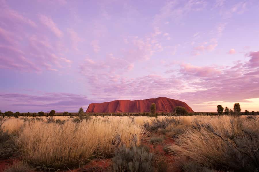 Uluru: Guided Walking Tour at Sunrise with Light Breakfast - Why the full Uluru base walk is worth your morning
