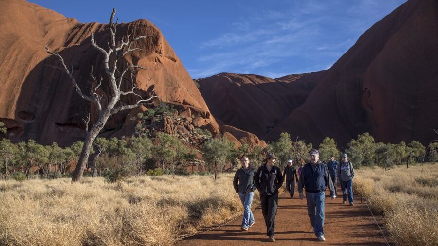 Uluru Highlights Small Group Morning Tour + Picnic Breakfast - English guiding and audio options