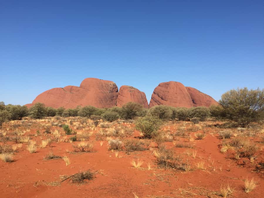 Uluru, Kata Tjuta & Kings Canyon Camping Tour - Day 2: Uluru from sunrise to its cultural center