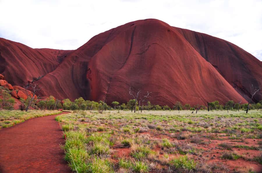 Uluru: Sacred Sites & Sunset Tour with Wine & Cheeseboard - Why this five-hour Uluru tour works