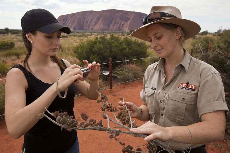 Uluru: Small Group Guided Tour with Sunset Refreshments - Key points at a glance