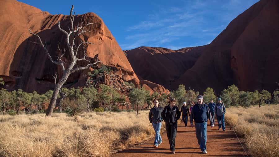 Uluru: Small Group Guided Tour with Sunset Refreshments - Why this five-hour Uluru tour works well