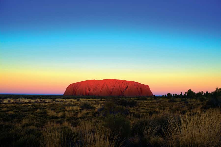 Uluru: Sunset, Sparkling Wine, Cheeseboard & Gourmet BBQ - Is $222 good value?