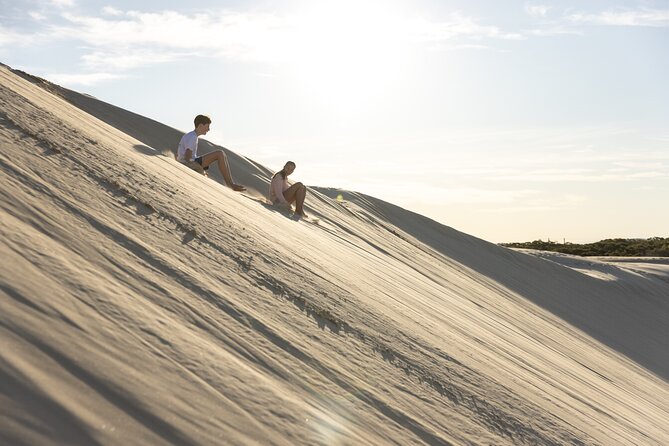 Unlimited Sandboarding - Who will get the most from this outing