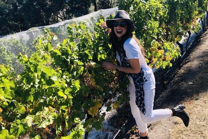 Valleys of Vino Full Day Tour - Puddleduck Wines brings wine and lunch together